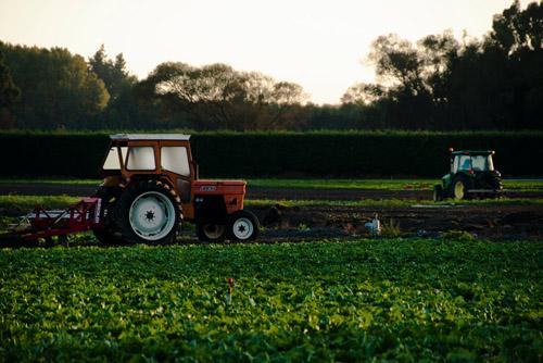 Agriculture